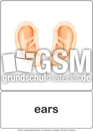 Bildkarte - ears.pdf